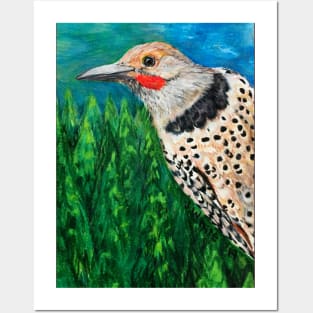 Northern Flicker Bird Drawing Posters and Art